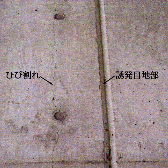 ���z�w��